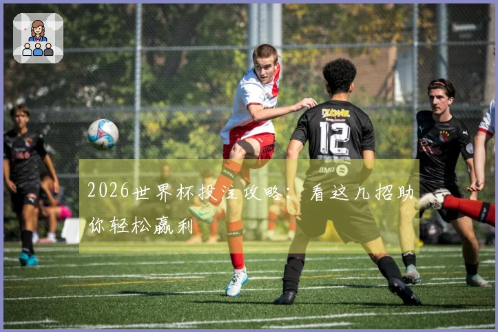 2026世界杯投注攻略：看这几招助你轻松赢利