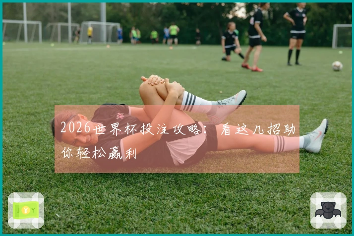 2026世界杯投注攻略：看这几招助你轻松赢利