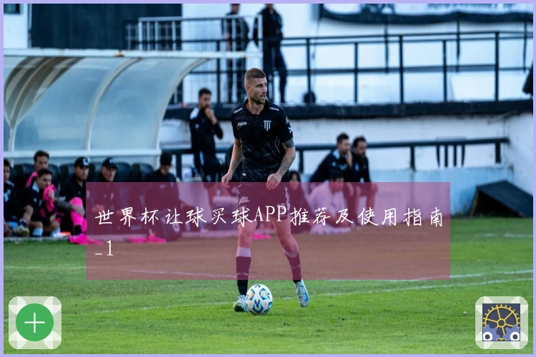 世界杯让球买球APP推荐及使用指南_1