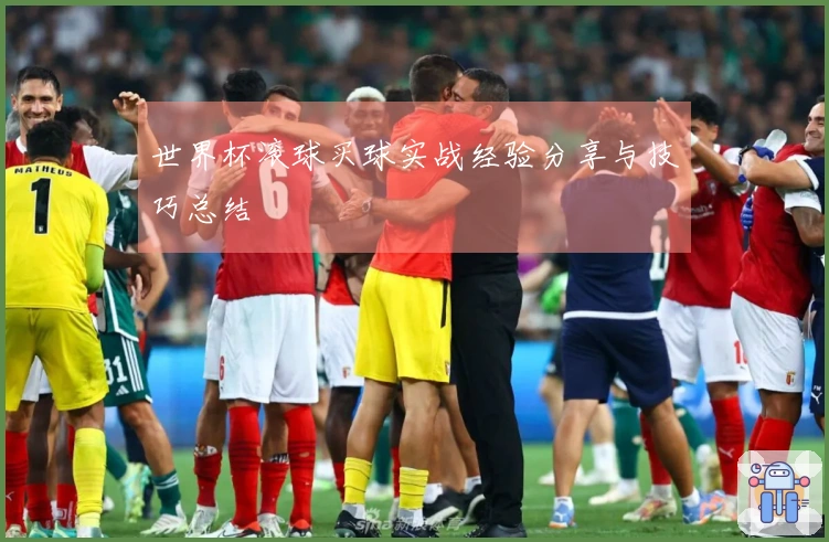 世界杯滚球买球实战经验分享与技巧总结