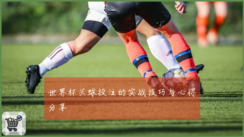 世界杯买球投注的实战技巧与心得分享