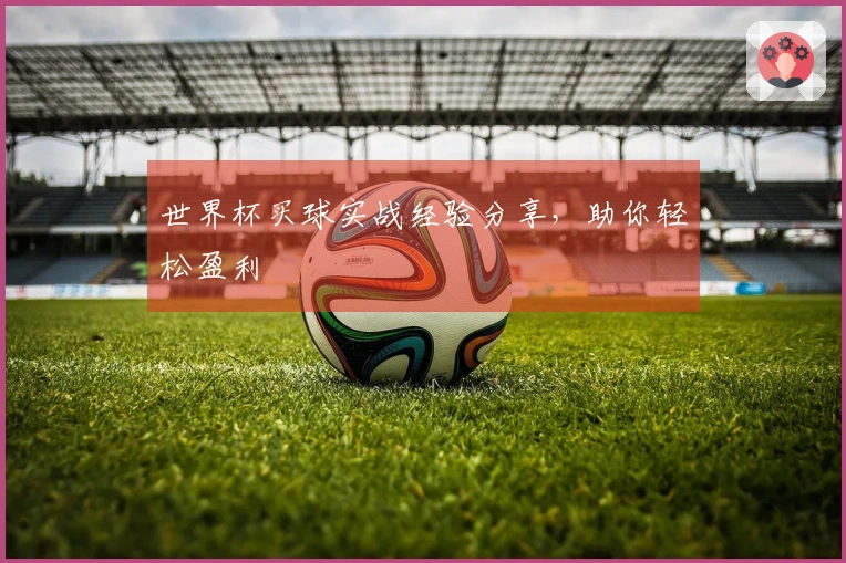 世界杯买球实战经验分享，助你轻松盈利