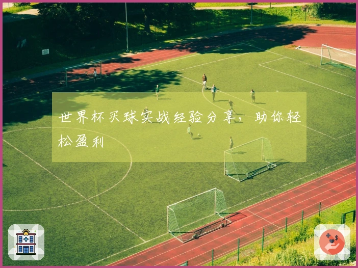 世界杯买球实战经验分享，助你轻松盈利