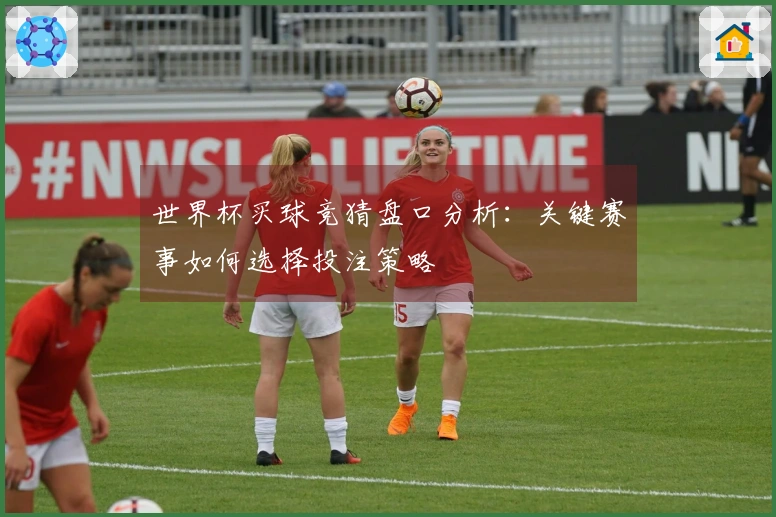 世界杯买球竞猜盘口分析：关键赛事如何选择投注策略