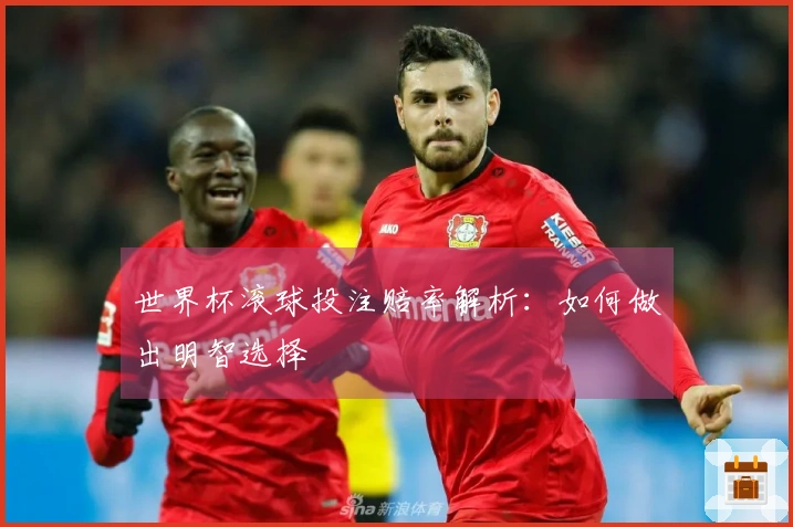 世界杯滚球投注赔率解析：如何做出明智选择