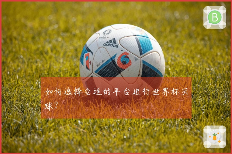 如何选择合适的平台进行世界杯买球？
