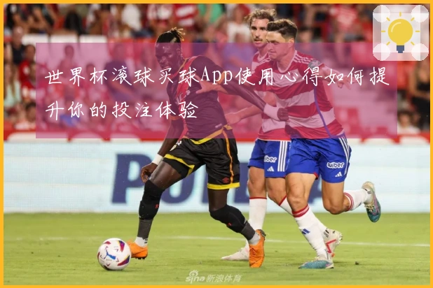 世界杯滚球买球App使用心得如何提升你的投注体验