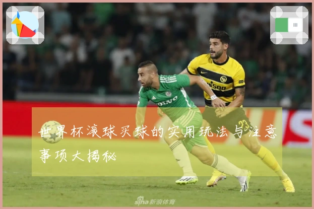 世界杯滚球买球的实用玩法与注意事项大揭秘