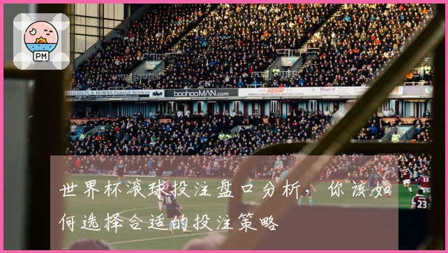 世界杯滚球投注盘口分析，你该如何选择合适的投注策略