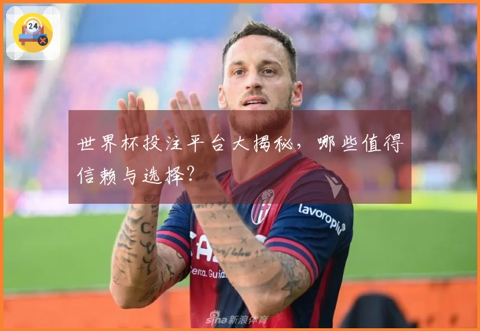 世界杯投注平台大揭秘，哪些值得信赖与选择？